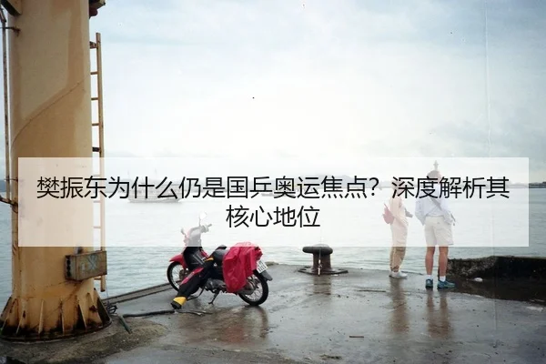 樊振东为什么仍是国乒奥运焦点？深度解析其核心地位
